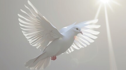  featuring a white dove Flying With elegance sun rays shining through it