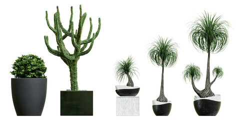 Collection of beautiful plants in ceramic pots isolated on transparent background. 3D rendering.