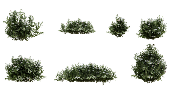 set of realistic big and small size wild grass bushes. 