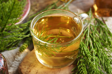 A cup of herbal tea with fresh horsetail plant