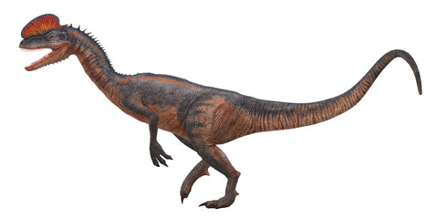 Dilophosaurus on a Transparent Background