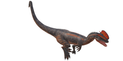 Dilophosaurus on a Transparent Background