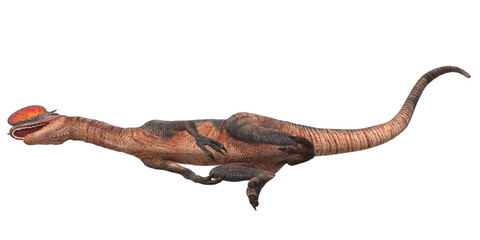Obraz premium Dilophosaurus on a Transparent Background