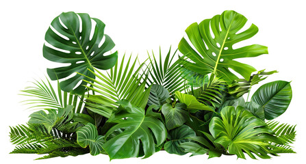 Lush green tropical plants bush (monstera, palm, rubber plant, pine and fern), cut out © Yeti Studio