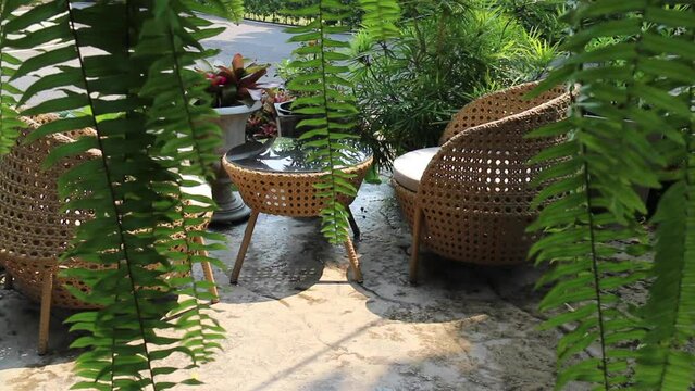 View landscape outdoor garden of resort with plant tree flower, stock footage