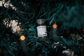 Christmas, tree and safety for health and vaccine as ornament, decoration and memory of Covid19....