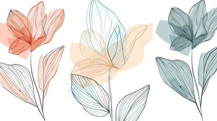 Abstract floral line art with pastel color accents