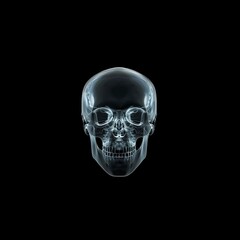 X-ray of human skull on black background showcasing the intricate bone structure Concept of radiological imaging medical diagnostics and forensic analysis