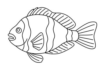 Tropical Fish. Simple Hand Drawn. Isolated on white background. line art drawing Art therapy Coloring page for kids and adults. Black and white Vector illustration