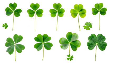 Set of green clover leaves isolated on transparent background