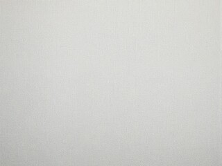 white canvas texture