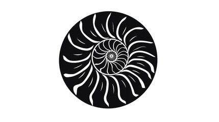 Nautilus shell isolated on PNG Background