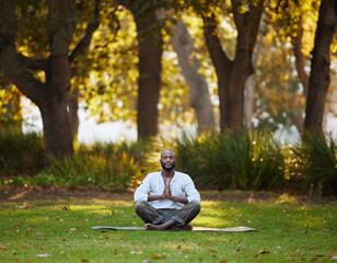 Obraz premium Black man, meditate and yoga in park for fitness, zen and mindfulness outdoor with health, wellness and calm. Spiritual, balance and holistic healing for aura or soul, energy and peace in nature