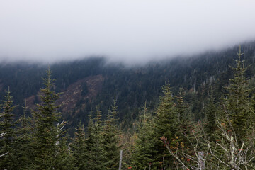 Great Smoky Mountains with low clouds