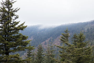 Great Smoky Mountains with low clouds