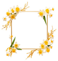Obraz premium PNG Flower daffodil wreath plant.