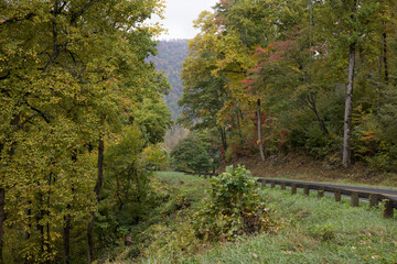 Autumn woods with a road