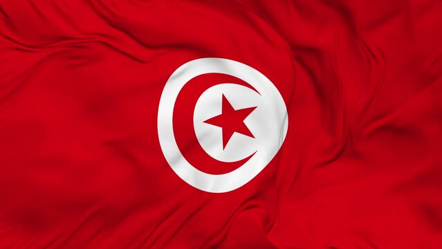 Tunisia flag waving animation seamless loop.4K