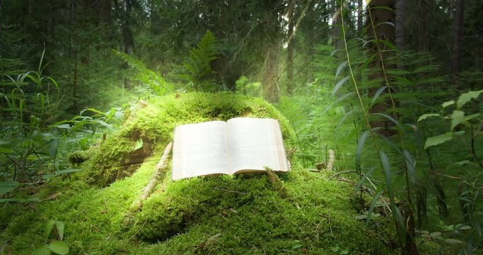 Open book resting on a moss-covered log in a lush green forest, illuminated by sunlight. Learning concept.