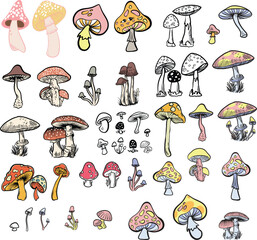 Mushroom illustrations pack