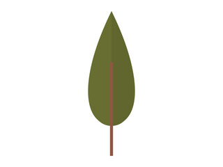 Tree vector illustration. Climate conditions influence growth and distribution trees in different regions The biological processes trees contribute to overall balance ecosystem Living organisms