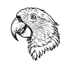 parrot face in white background