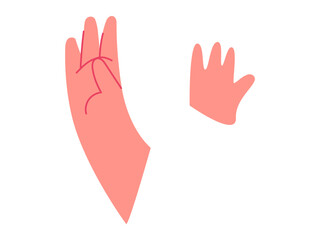Body part hands vector illustration. Anatomical position is critical reference point in various medical procedures Educational gestures make complex anatomical concepts accessible to diverse learners