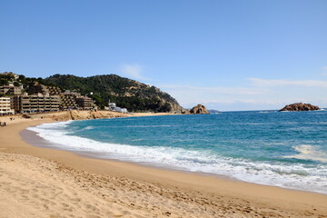 beach with palm trees and sea