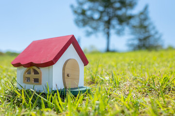 緑の芝の上に建つ赤い屋根の小さな家