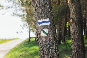 Walking trail background. Blue forest path. Brown tree trunk. Guide sign made with paint. Symbol...