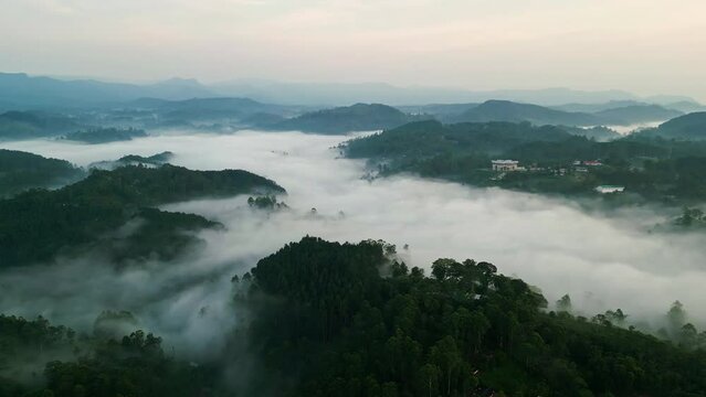 Drone flight over Haputale mountains, clouds blanket lush highlands at dawn. Misty landscape reveals tea plantations, forest trails. Nature lovers, hikers enjoy serene vistas, fresh mountain air.