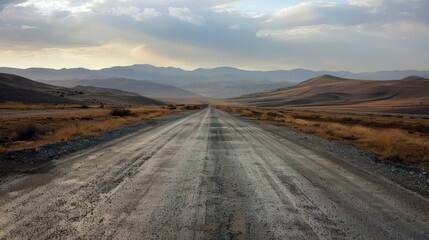 Fototapeta premium straight long road in desert land