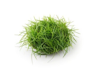 round piece of grass laying flat on white background