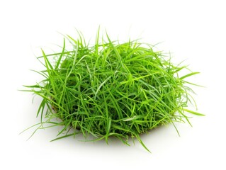 round piece of grass laying flat on white background
