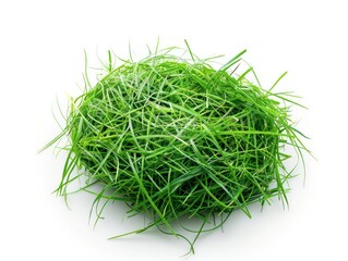 round piece of grass laying flat on white background
