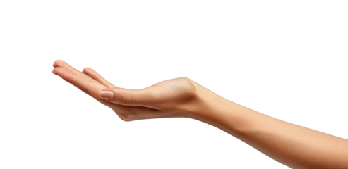 hand isolated on white