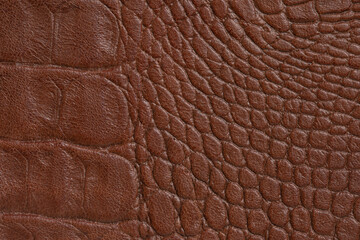 爬虫類柄　革の表面