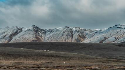 Snow-capped mountains on the horizon. Long road runs through wide valleys. Panorama, Icelandic...