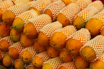 Group of yellow papayas for sale in  maket