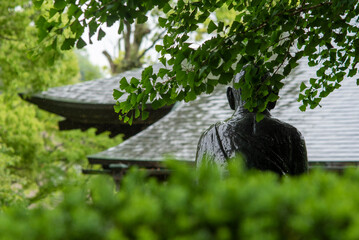 鎌倉245　光触寺1