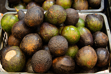 Group of fresh avocado fruits at a fruit market