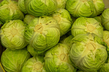 close up of cabbage in market