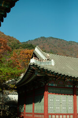 korean pavilion in the garden