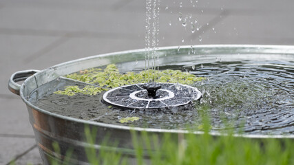 Mini garden lake with solar fountain and swimming plants