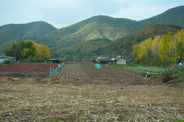 farm field in autumn harvested