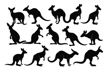 Set of Kangaroo black Silhouette Design with white Background and Vector Illustration