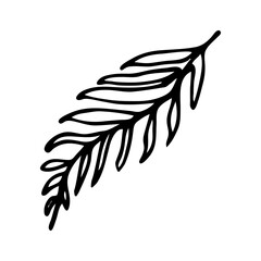 Vector botanical illustration of tropical leaf. Monochrome silhouette. Hand drawn tree leaf.