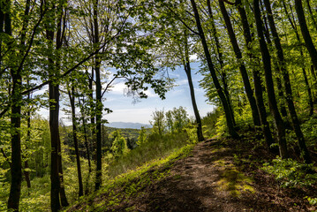 Italy Passo della Futa and the Giogo trekking in nature, paths and panoramic views