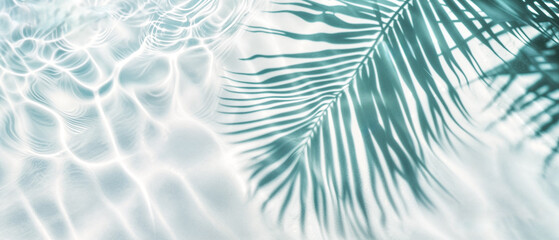 Palm Fronds Cast Shadows on Rippling Water Surface. Abstract Textured Background of Light and Shadow. Palm Leaves and Rippling Water. 