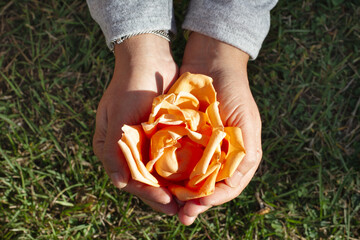 Manos de mujer sosteniendo una flor de color anaranjada. Vista superior y de cerca